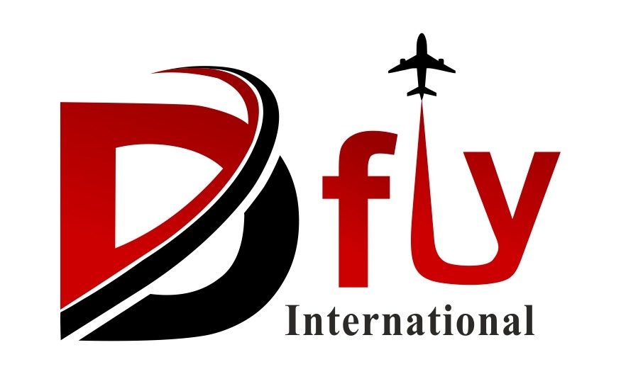 Dfly International Image