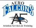 Aero Falcons Image