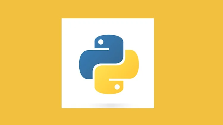 Python Bootcamp + Replit Python Programming Beginner Tutorial